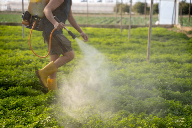 Best Wasp Removal Services  in Batavia, IL