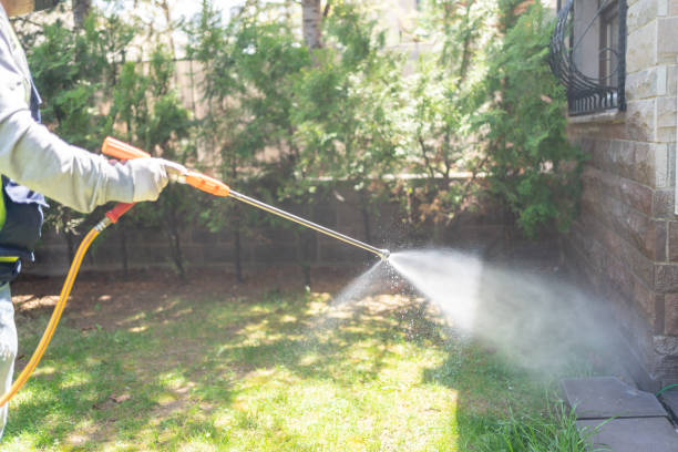 Best Mosquito Control Services  in Batavia, IL