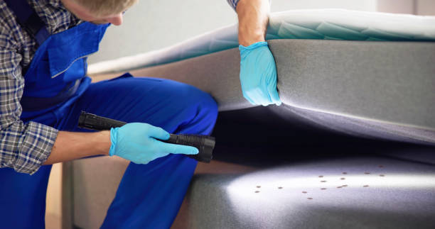 Best Pest Removal Services  in Batavia, IL