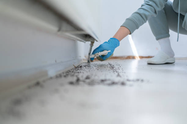 Professional Pest Control in Batavia, IL